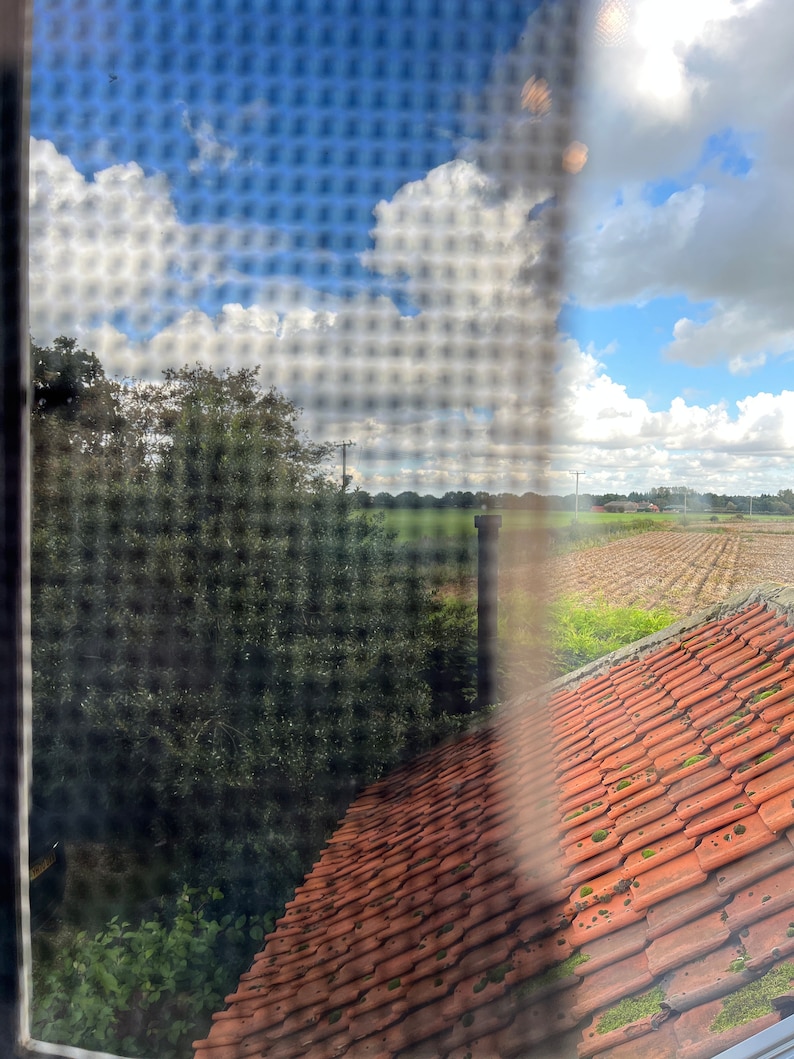May include: A view through a window with a screen, showing a red tiled roof, a green field, and a blue sky with white clouds.
