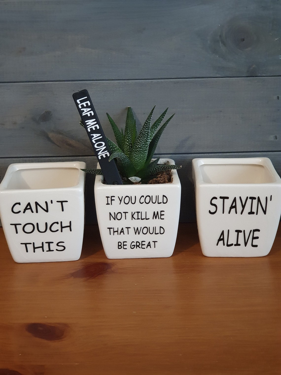 Funny Plant Pot / Funny Cacti Plant Pot / Succulent Pot / Etsy