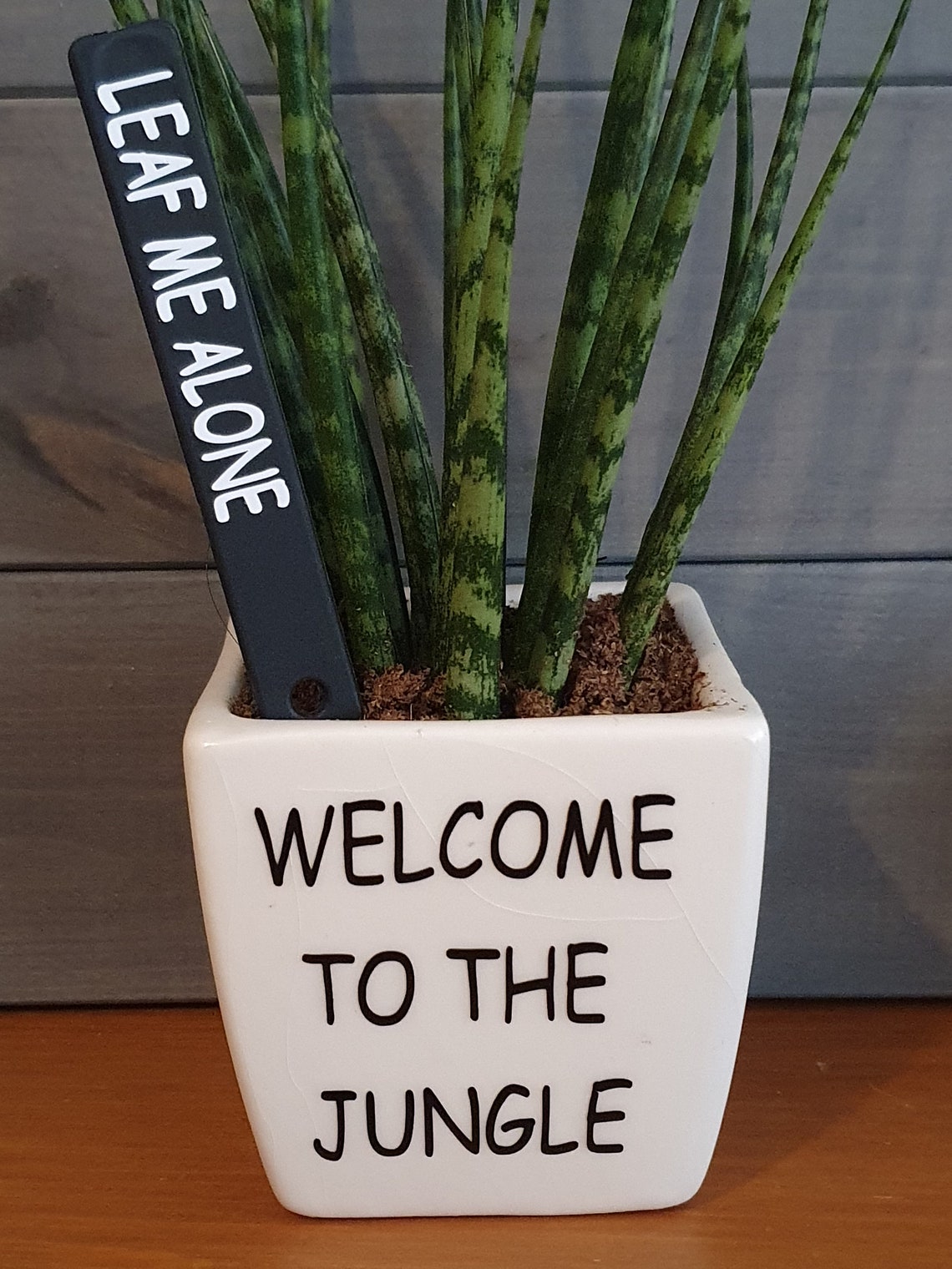 Funny Plant Pot / Funny Cacti Plant Pot / Succulent Pot / Etsy