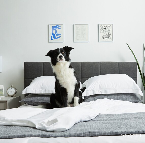 Family Size Bamboo Sheet Set Wyoming King Texas Family Size Bamboo Sheet Set Wyoming, Texas King Size Bed Sheets