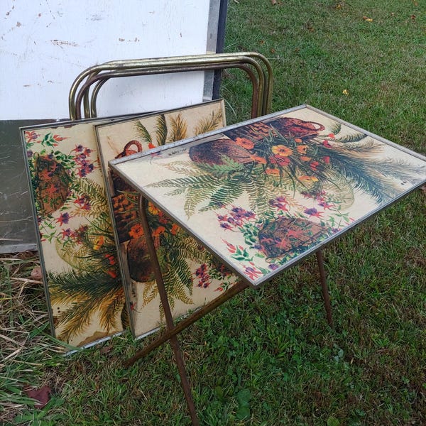1950 S Vintage Tv Trays