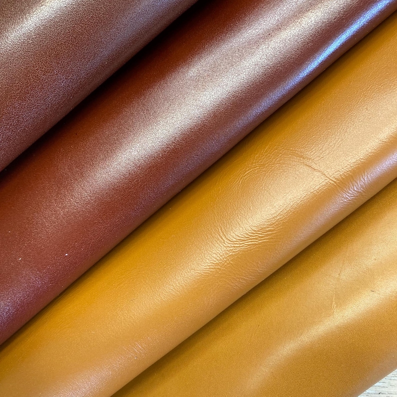 May include: Close-up of four pieces of leather in shades of brown and yellow. The leather has a smooth, shiny surface with subtle variations in colour and texture. The colours range from a deep reddish-brown to a light golden-yellow.