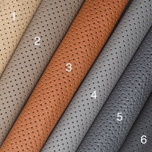 May include: Six different samples of perforated leather in various colors, including beige, brown, gray, and dark gray. The samples are arranged in a fan shape, with the numbers 1 through 6 labeling each sample.