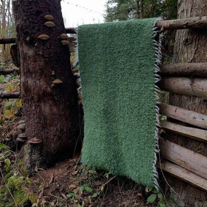 Può includere: Un tappeto verde soffice con bordi sfrangiati è appeso a una recinzione di legno in un ambiente boschivo.