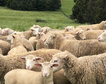 Eine Sonderanfertigung