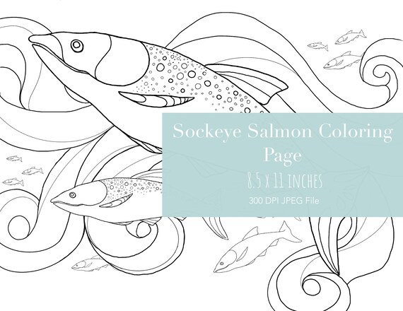 Sockeye Salmon Printable Coloring Page Bonus Version - Etsy