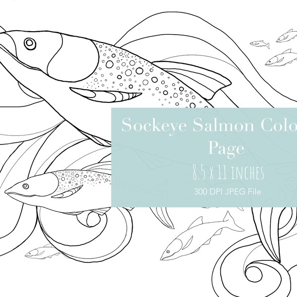 Sockeye Salmon - Etsy