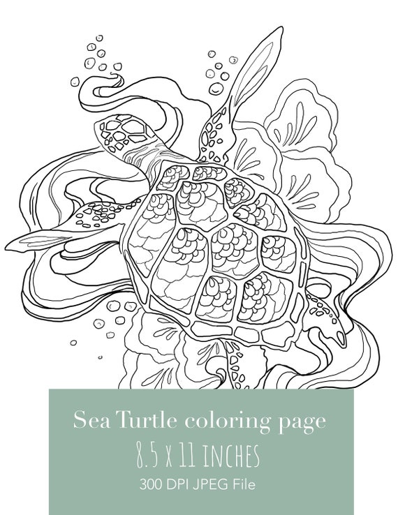 sea turtle printable coloring page adult colouring page etsy