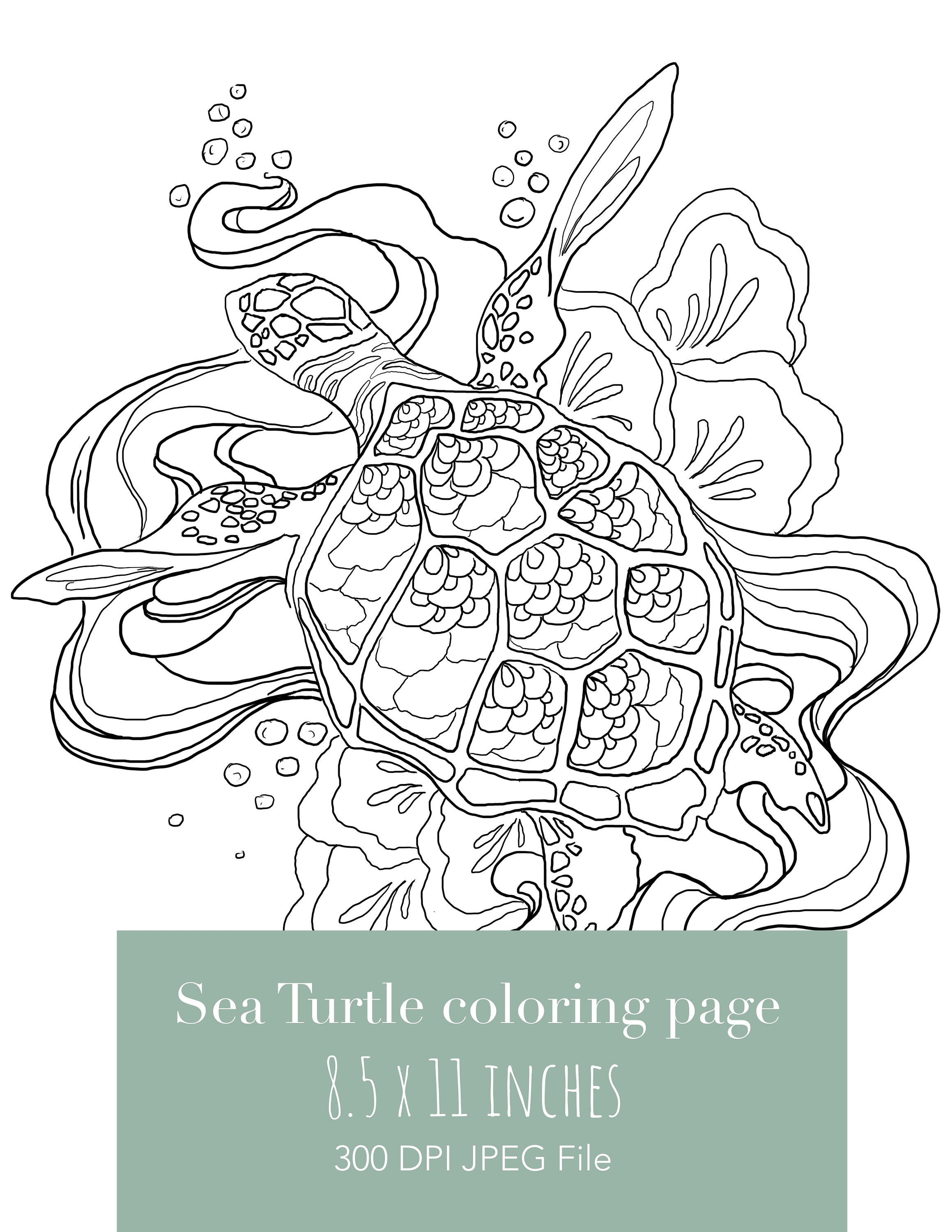sea turtle printable coloring page adult colouring page etsy