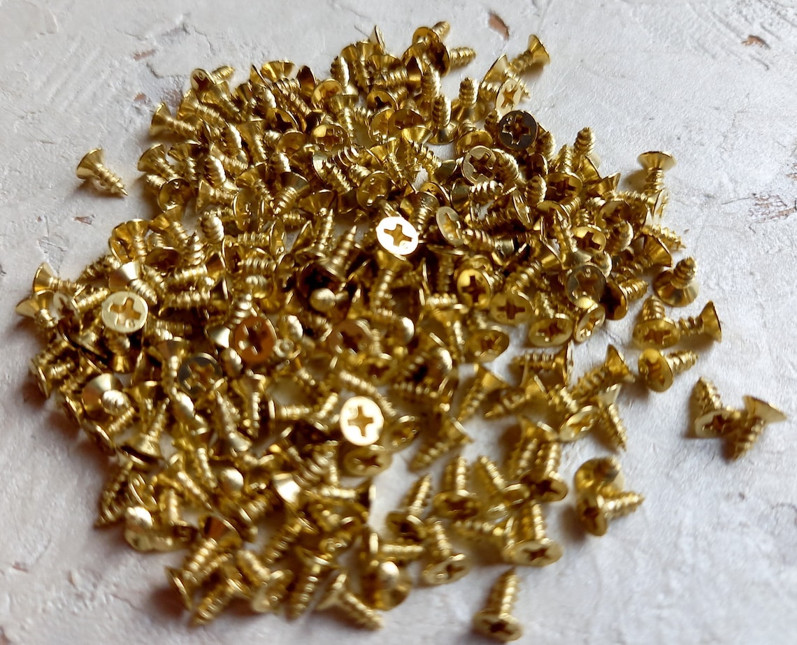 2 X 5 Mm Miniature Screws 100 Psc Small Gold Screws Screws for Hinges
