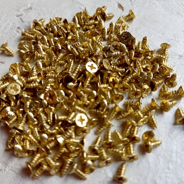 2 x 5 mm Miniatur Schrauben 100 psc - Kleine Goldschrauben - Schrauben für Scharniere - Kleine Box Hardware