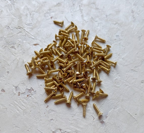 Tiny Screws 2.5 x 10 mm, 25 pcs