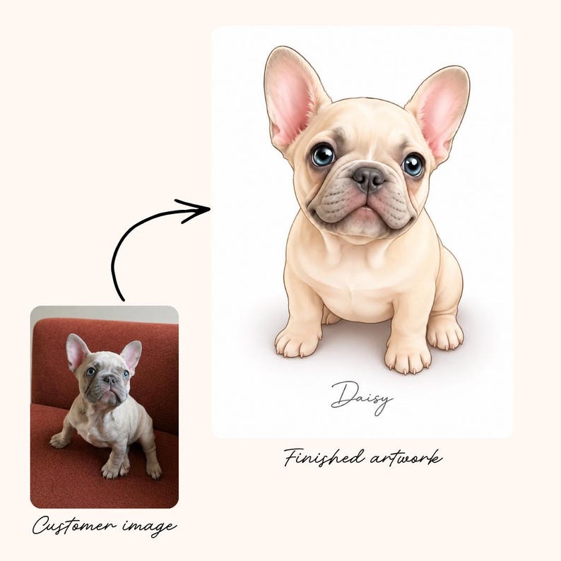 May include: A digital illustration of a cream-colored French Bulldog puppy with large dark eyes and upright ears, labeled with the name Daisy. To the left, a smaller reference photograph shows the same puppy sitting on a textured orange surface.