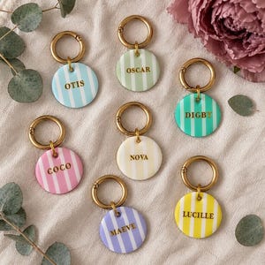 Puede incluir: Siete placas circulares para mascotas con anillas de metal dorado, cada una con rayas verticales en colores pastel como azul, verde, rosa, amarillo y morado. Cada placa está personalizada con un nombre en letras doradas: Otis, Oscar, Digby, Coco, Nova, Maeve y Lucille.