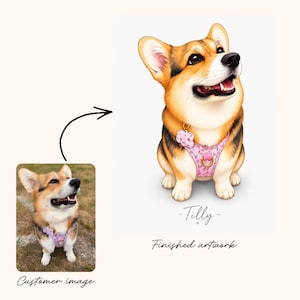 May include: A digital illustration of a Corgi dog wearing a pink floral harness with a matching flower-shaped tag. The dog is depicted sitting and looking upward. Below the illustration, the name Tilly is written in script, followed by the text Finished artwork.