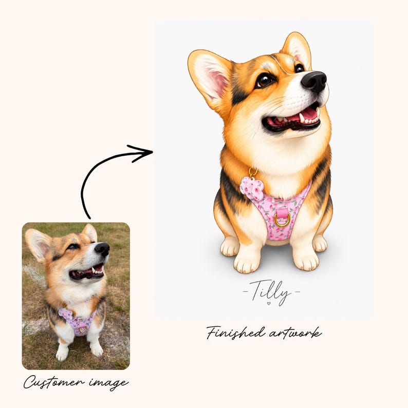 May include: A digital illustration of a Corgi dog wearing a pink floral harness with a matching flower-shaped tag. The dog is depicted sitting and looking upward. Below the illustration, the name Tilly is written in script, followed by the text Finished artwork.