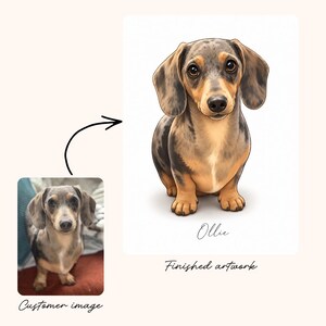May include: A digital illustration of a dapple dachshund dog sitting, featuring tan, grey, and black mottled fur, large brown eyes, and floppy ears. The name Ollie is written in cursive script below the dog, with the text Finished artwork below.