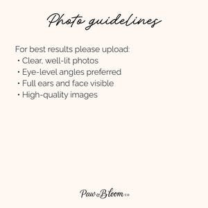 May include: A white informational sign with black text titled Photo guidelines. It lists requirements for clear, well-lit photos, eye-level angles, full ears and face visibility, and high-quality images. The bottom features the brand name Paw & Bloom co.