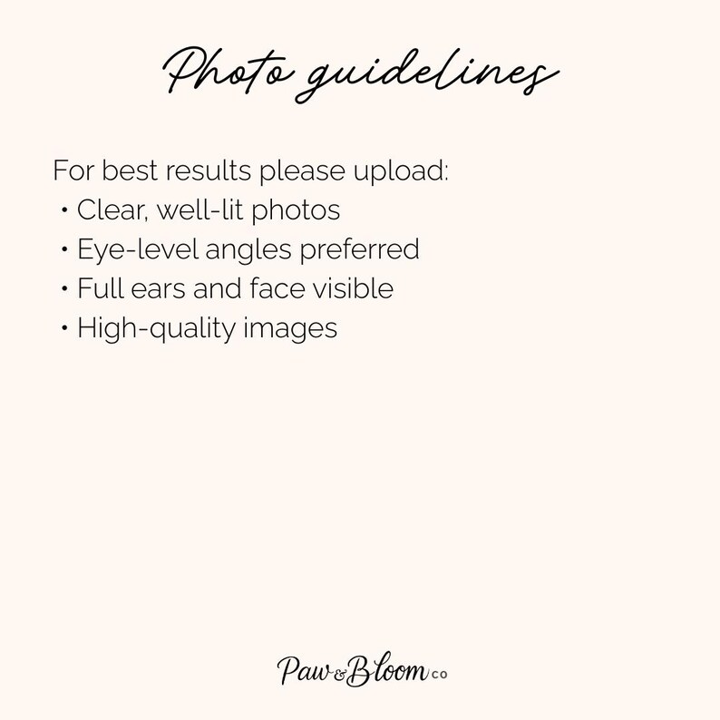 May include: A white informational sign with black text titled Photo guidelines. It lists requirements for clear, well-lit photos, eye-level angles, full ears and face visibility, and high-quality images. The bottom features the brand name Paw & Bloom co.