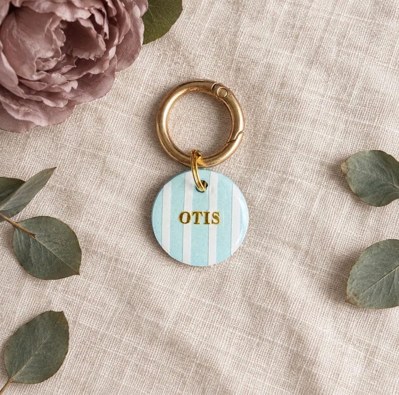 May include: A circular pet tag featuring vertical light blue and white stripes with the name OTIS printed in gold lettering. The tag is attached to a gold-toned metal ring clasp, providing a secure way to attach the item to a collar.
