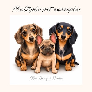 May include: A digital illustration of three dogs sitting together. On the left is a dapple dachshund, in the center is a fawn French bulldog, and on the right is a black and tan dachshund. The text reads Multiple pet example and Ollie, Daisy & Neville.
