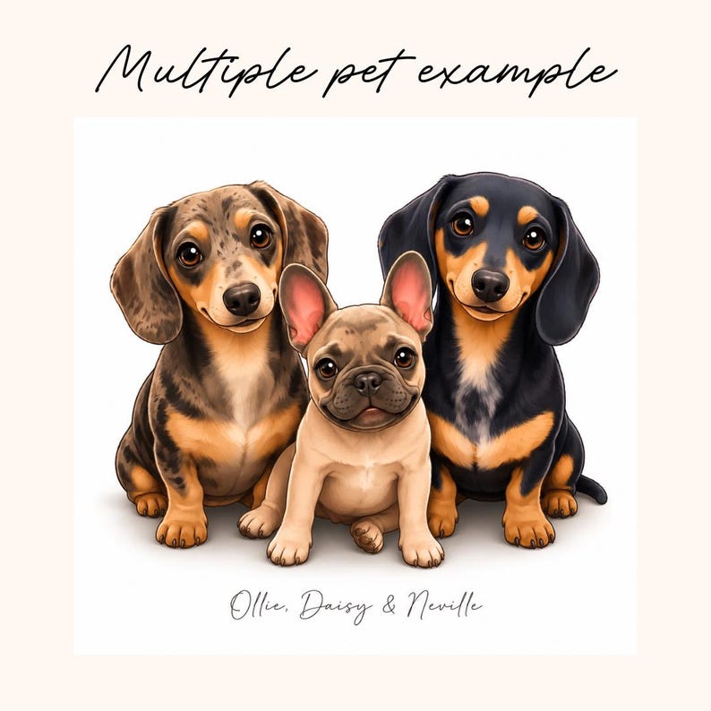 May include: A digital illustration of three dogs sitting together. On the left is a dapple dachshund, in the center is a fawn French bulldog, and on the right is a black and tan dachshund. The text reads Multiple pet example and Ollie, Daisy & Neville.
