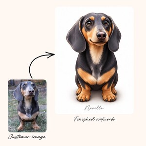 May include: A digital illustration of a black and tan dachshund sitting upright, featuring large expressive eyes and floppy ears. Below the dog, the name Neville is written in a cursive script. The artwork is presented alongside a reference photograph.