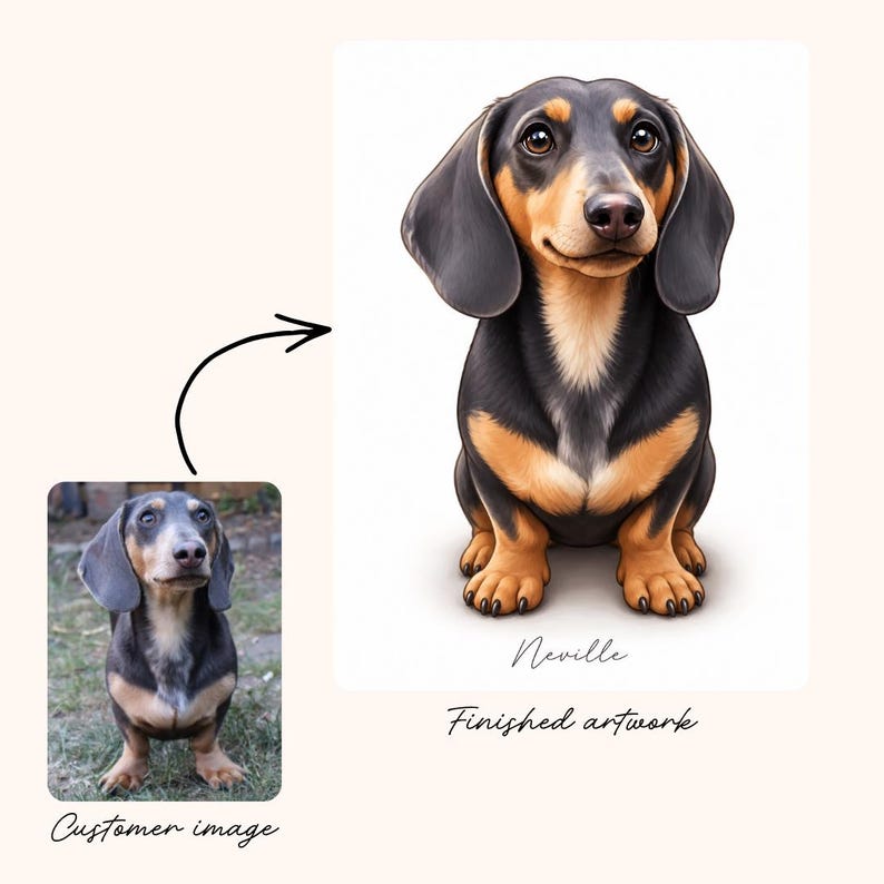 May include: A digital illustration of a black and tan dachshund sitting upright, featuring large expressive eyes and floppy ears. Below the dog, the name Neville is written in a cursive script. The artwork is presented alongside a reference photograph.