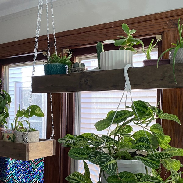 Dark Wood Stained Ceiling Hanging Shelf • for Plants