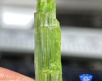 6.33ct Tremolite Crystal, Merelani, Tanzania, Very Rare