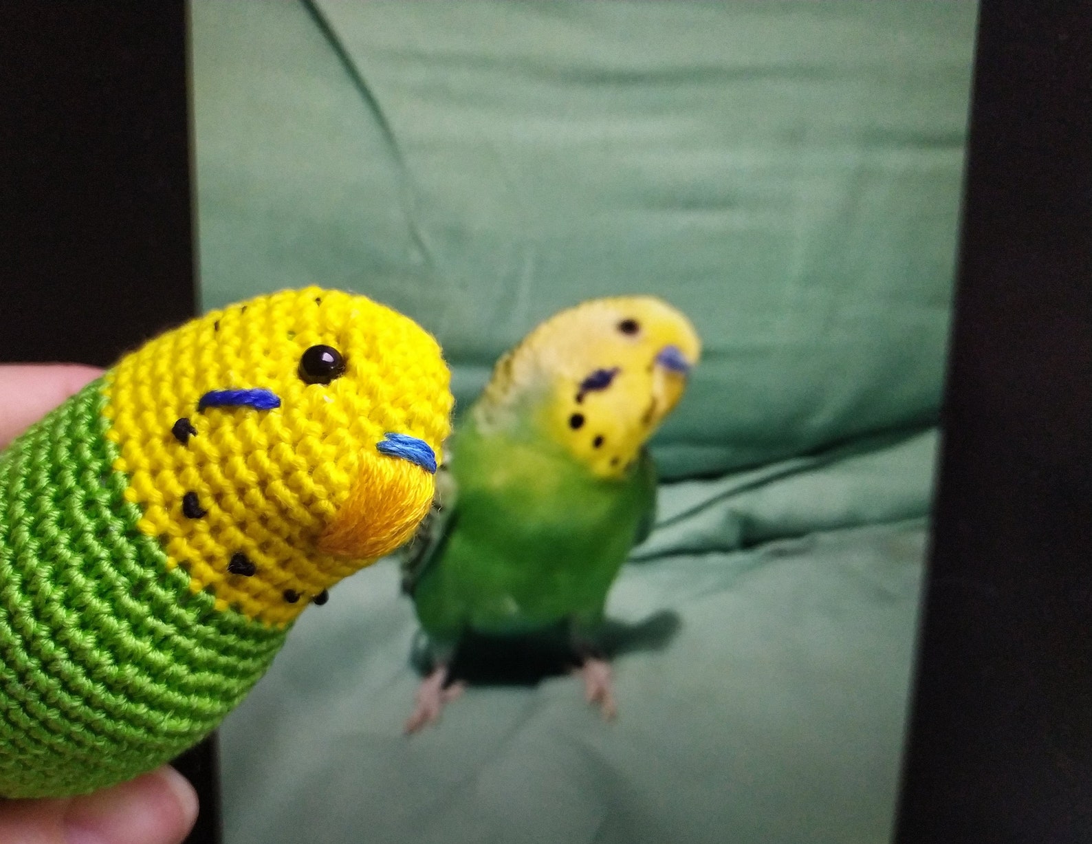 Custom plush budgie custom action bird figure 21st birthday | Etsy