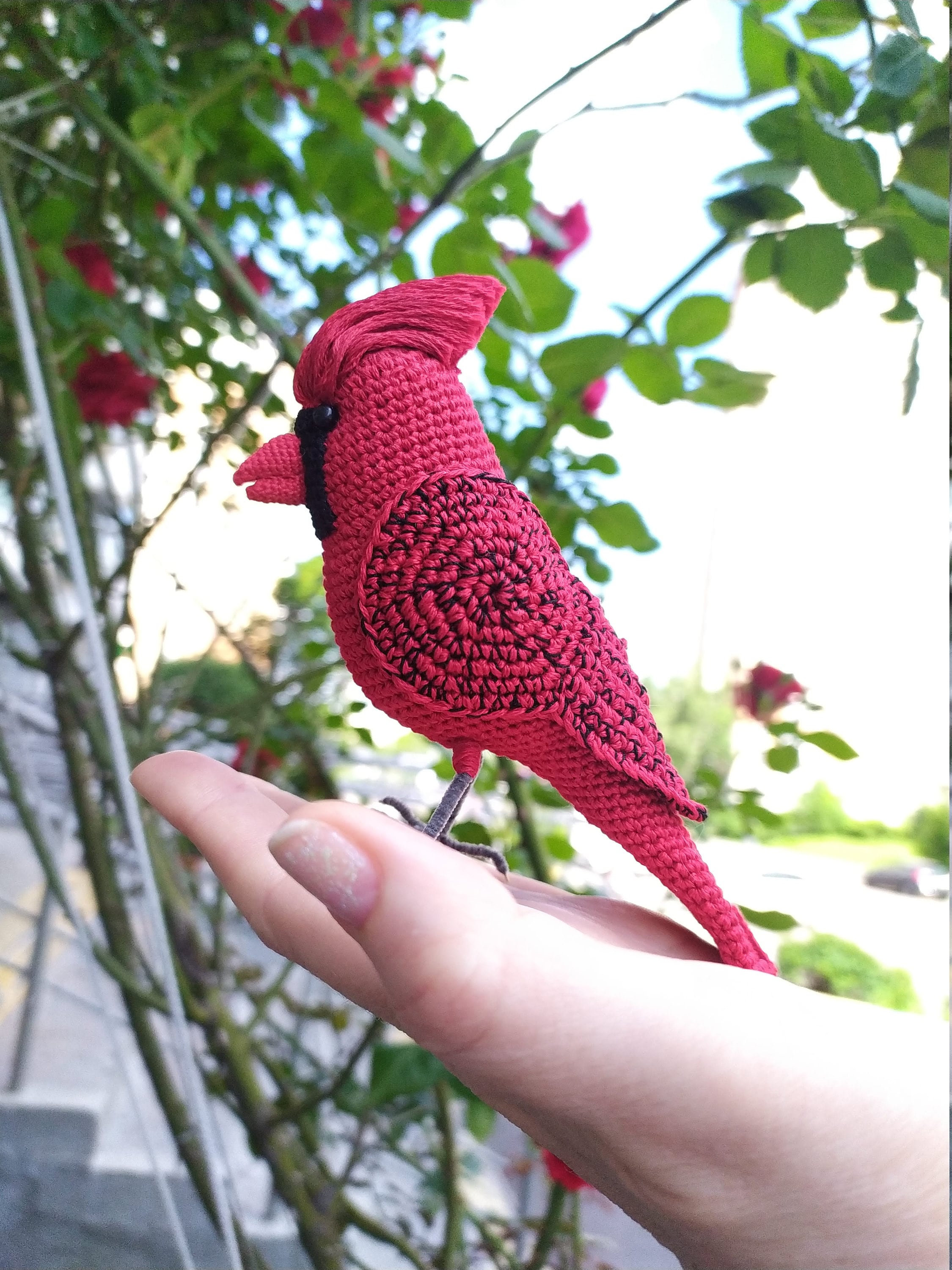 Amigurumi pattern red cardinal crochet bird pattern bird Etsy