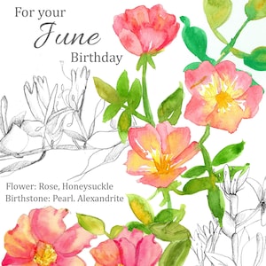 Juni Geburtstag Geißblatt Rose Geburtsblume leere Grußkarte