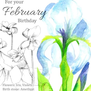 Fevereiro Aniversário Íris Violetas Nascimento Flor Cartão de Saudação em Branco Flores em Aquarela