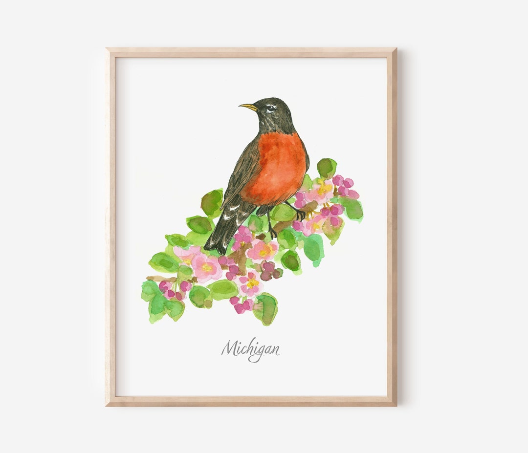 Michigan State Bird American Robin Apple Blossom Watercolor Fine Art ...