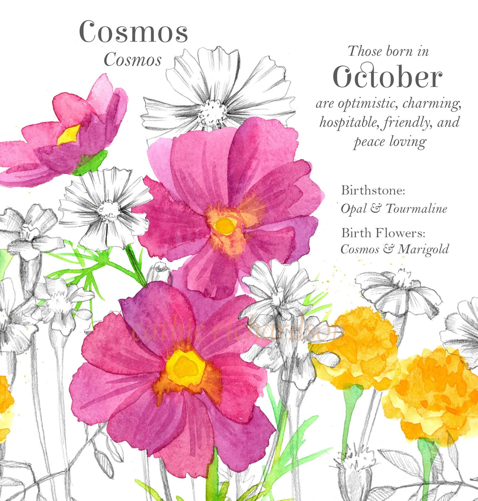 October Birth Items October Birth Month Flower Card Cosmos Marigold Language of Flowers - Etsy