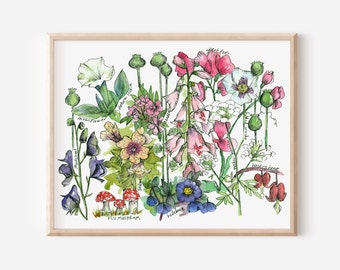 Poisonous Plants Flowers Botanical Drawing Watercolor Fine Art Print