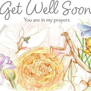 May include: A hand-drawn greeting card with the words "Get Well Soon" and "You are in my prayers." The card features illustrations of flowers, a praying mantis, a bee, and a butterfly, all in soft pastel colors.