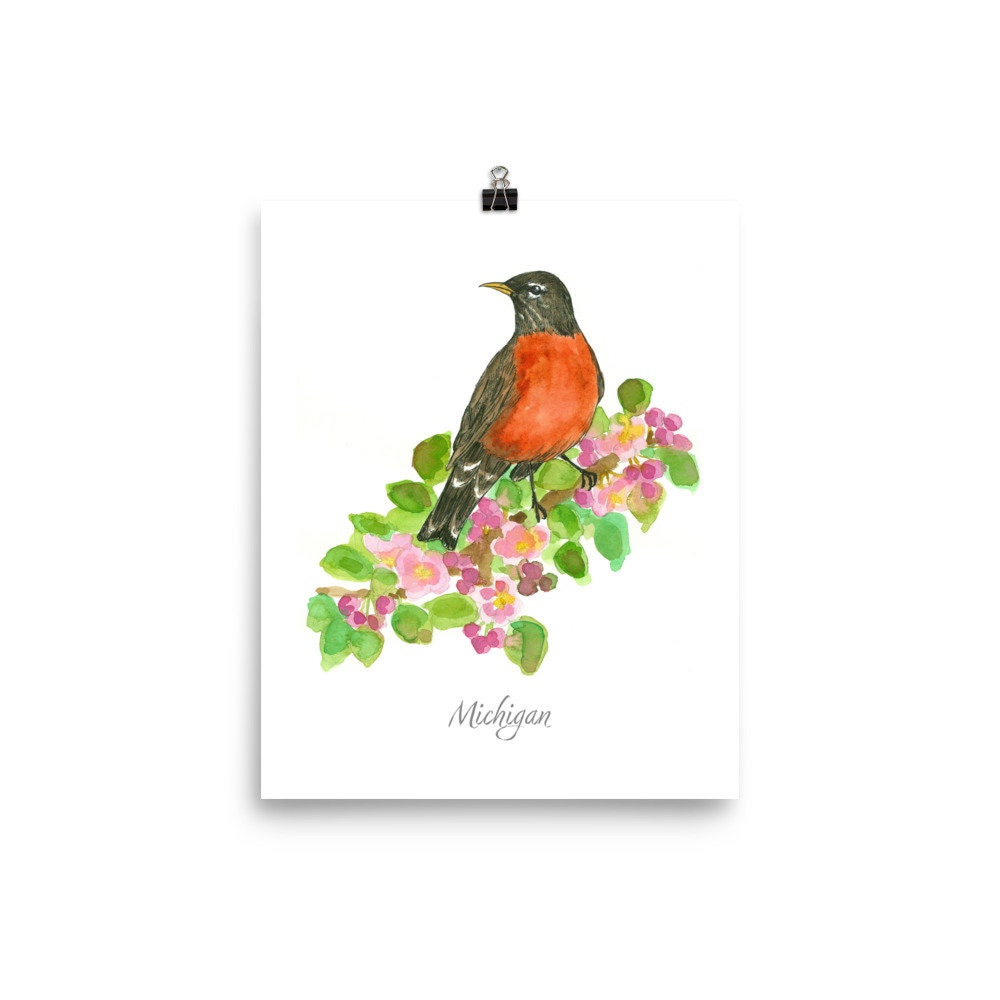 Michigan State Bird American Robin Apple Blossom Watercolor Fine Art ...