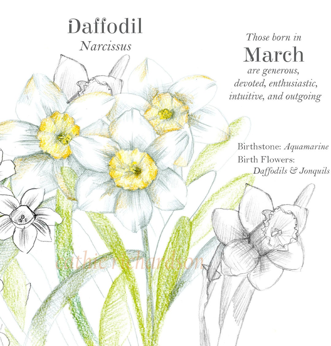 March Birth Month Flower Card Language of Flowers Daffodils Jonquils Etsy