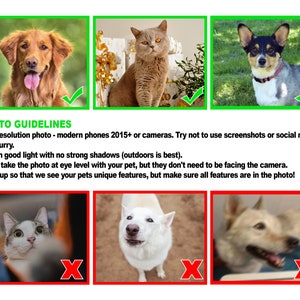 Pode incluir: Um guia com exemplos de fotos boas e ruins para retratos de animais de estima&ccedil;&atilde;o. As fotos boas s&atilde;o claras, bem iluminadas e mostram as caracter&iacute;sticas do animal de estima&ccedil;&atilde;o. As fotos ruins s&atilde;o desfocadas, t&ecirc;m sombras ou est&atilde;o muito longe.