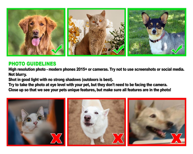 Pode incluir: Um guia com exemplos de fotos boas e ruins para retratos de animais de estima&ccedil;&atilde;o. As fotos boas s&atilde;o claras, bem iluminadas e mostram as caracter&iacute;sticas do animal de estima&ccedil;&atilde;o. As fotos ruins s&atilde;o desfocadas, t&ecirc;m sombras ou est&atilde;o muito longe.
