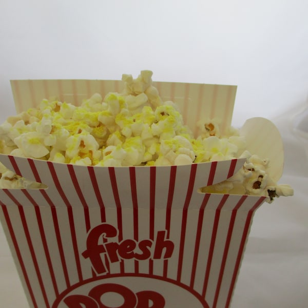 POPCORN BOXES/ Red and White Retro , Movie Theater, Family Movie  Night,  25 Pack close top box