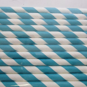 May include: A package of blue and white striped paper straws. The straws are packaged in a clear plastic wrapper.