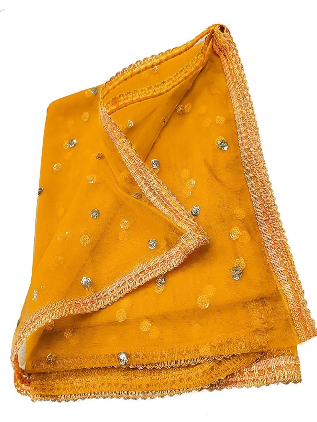 Fawn Embellished Net Dupatta with Sequinned