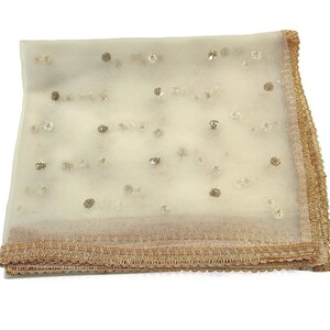 May include: A sheer white scarf with gold sequins and a gold embroidered border.