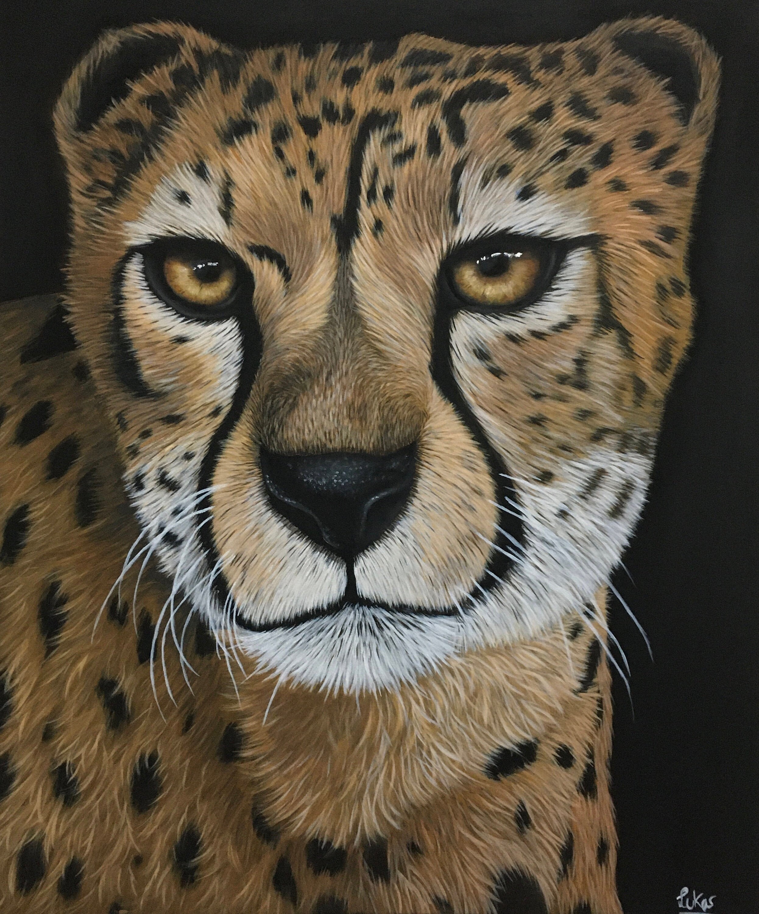 Cheetah portrait with acrylic painting Etsy