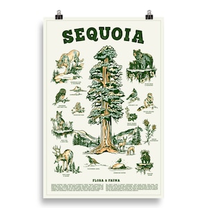 Sequoia National Park California Poster. Retro Vintage National Parks Art. General Sherman Sequoia Tree Poster. Cool Adventure Travel Decor