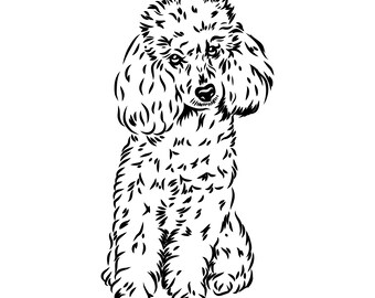 Download Poodle Svg File Etsy