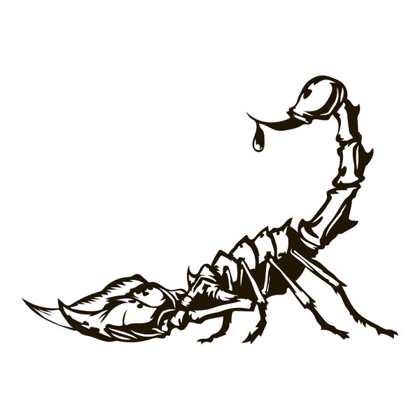 Scorpion SVG, Digital file Scorpion for printing on T-shirts, File for paper cutting, DXF, PNG, Dxf, Scorpion clip art